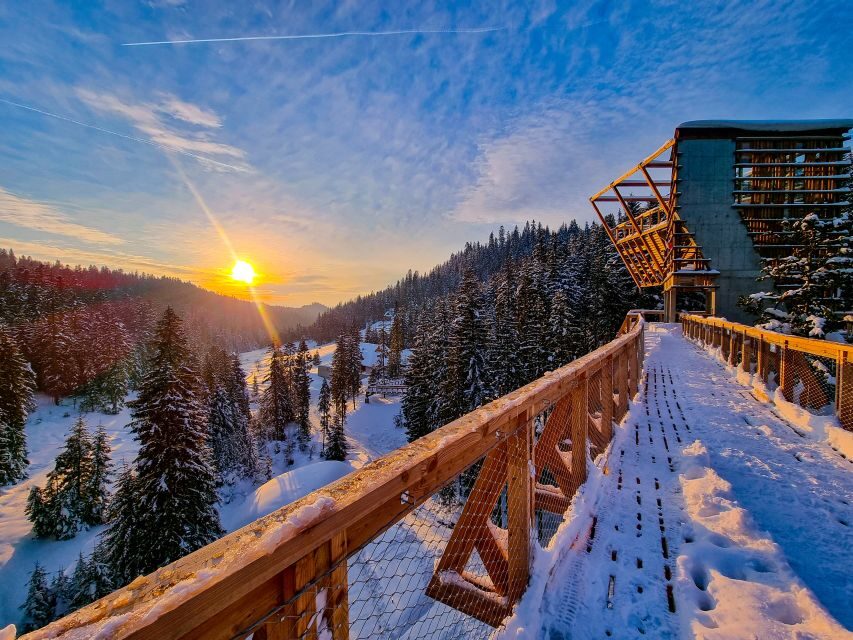 Krakow: Zakopane, Mountains Treetop Walk & Thermal Baths - Why Choose This Tour?