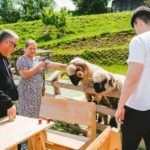 Krakow: Zakopane Tour, Hot Springs, Cable Car & Hotel Pickup - FAQs