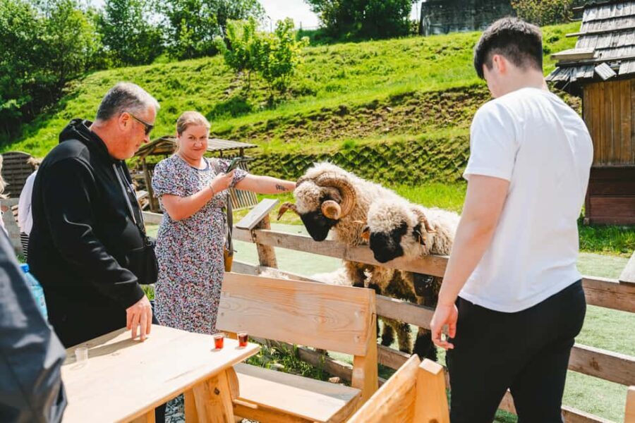 Krakow: Zakopane Tour, Hot Springs, Cable Car & Hotel Pickup - FAQs