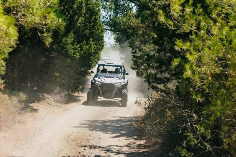 Kremasti: Rhodes 4x4 Polaris Buggy Off-Road Tour - Who Is This Tour Perfect For?