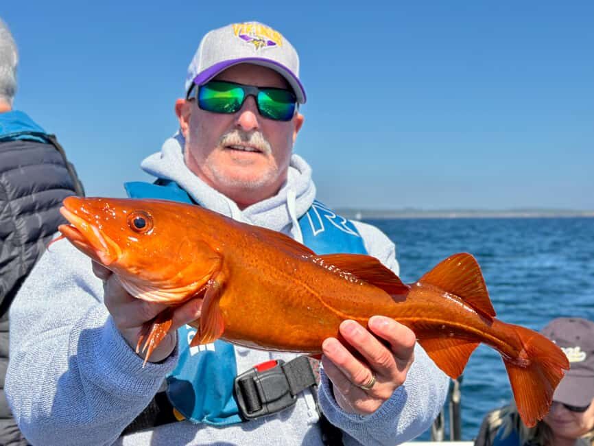 Kristiansand: Guided Sea Fishing Experience - The Sum Up