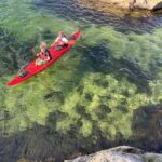 Kristiansand: Scenic Double Sea Kayak Tour around Odderoya - An In-Depth Look at the Kristiansand Sea Kayak Tour