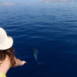 Krk: Boat Trip to Rab & Pag with Sightseeing & Swimming - The Experience Provider & Overall Quality