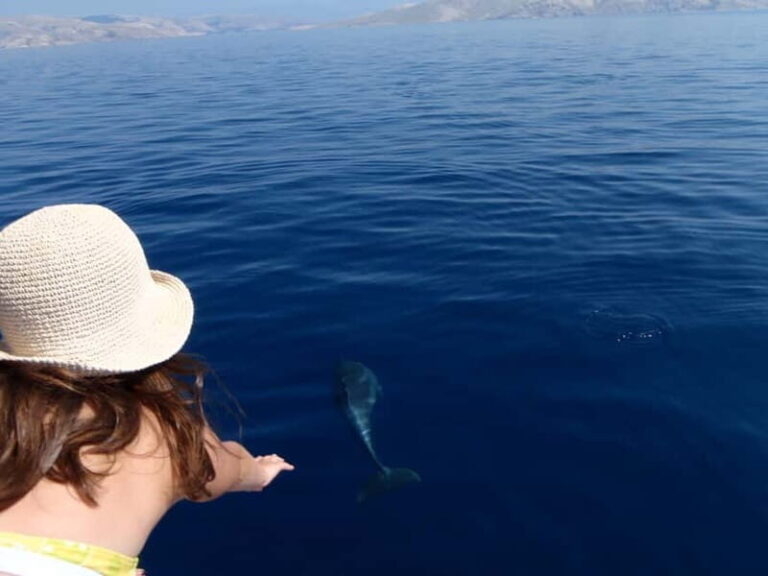 Krk: Boat Trip to Rab & Pag with Sightseeing & Swimming - The Experience Provider & Overall Quality