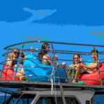 Krk: Swimming and snorkeling tour on Golden Bay - Who Will Love This Tour?