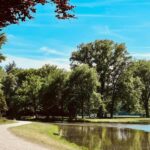 Kröller-Müller Museum: Half-Day Guided Tour from Amsterdam - Analyzing the Cost and Value