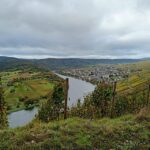 Kröv, Moselle: COVERED WAGON RIDE through the vineyards with wine tasting - Why This Tour Works for You