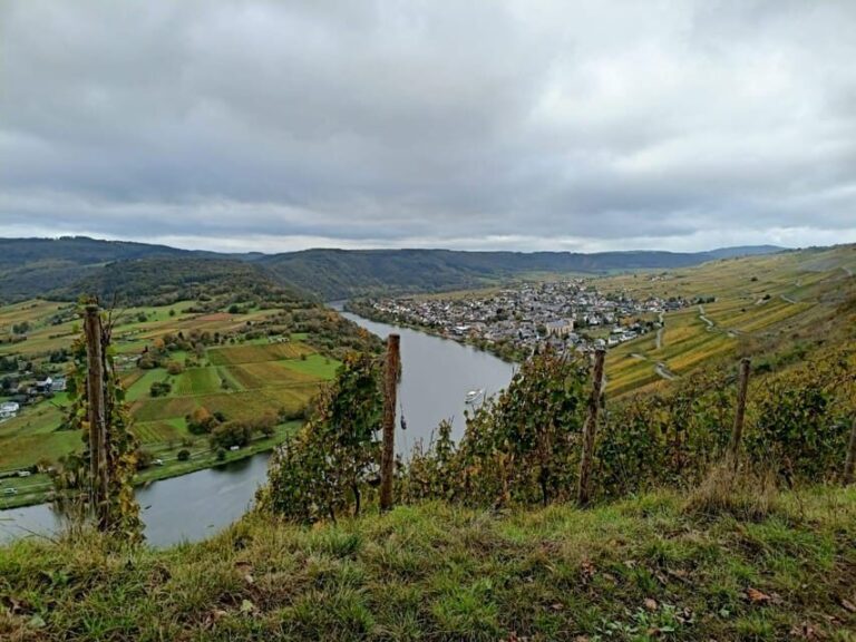 Kröv, Moselle: COVERED WAGON RIDE through the vineyards with wine tasting - Why This Tour Works for You