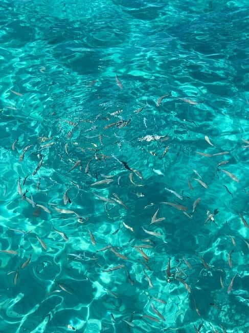 Kusadasi: Aegean Sea Boat Tour with Lunch - An Easy Start to Your Day