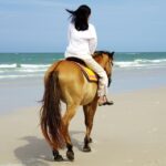 Kusadasi: Horse Riding Beach and Forest w/Transfer - Authentic Traveler Insights and Additional Details