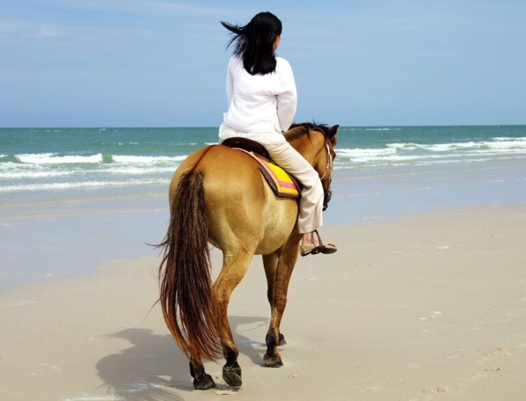 Kusadasi: Horse Riding Beach and Forest w/Transfer - Authentic Traveler Insights and Additional Details