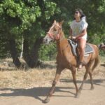 Kusadasi Horse Safari - What to Expect from the Tour