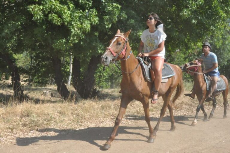 Kusadasi Horse Safari - What to Expect from the Tour