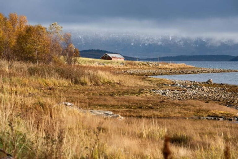 Kvaløya Island: Photography Tour with Snacks - Who Should Book This Tour?