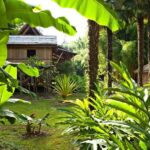 La Bambouseraie en Cévennes Ticket - An Overview of the Experience