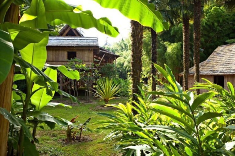 La Bambouseraie en Cévennes Ticket - An Overview of the Experience