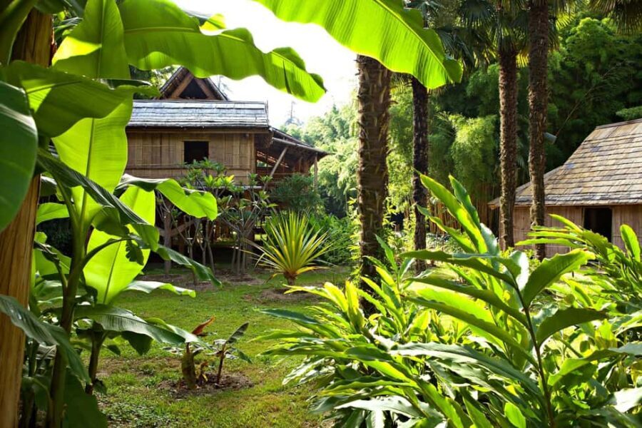 La Bambouseraie en Cévennes Ticket - An Overview of the Experience