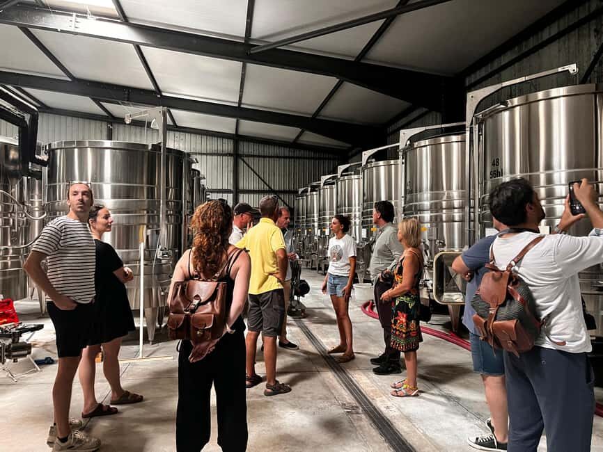 La Londe-les-Maures: Half-Day Wineries Tour with Tastings - Whats Included and Whats Not