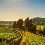 La Madama: A Journey through Piedmont's Tradition and Wines - What Makes the Tour Stand Out