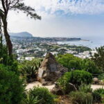La Mortella Gardens excursion from Ischia - Why This Tour Works Well