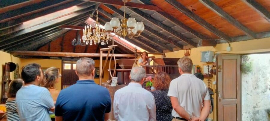 La Orotava: guided tour with gofio tasting, Los Molinos de la Villa - Practical Details and What You Should Know