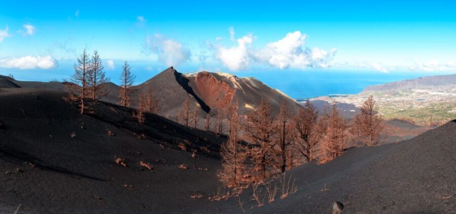 La Palma: Guided Tour to Tajogaite Volcano with Transfer - Summary and Who It’s Best For