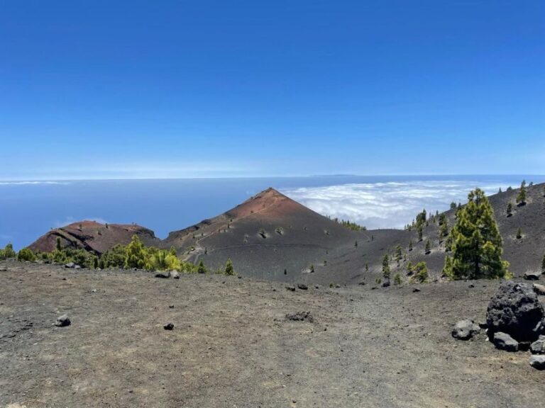La Palma: Guided trekking tour to volcanoes south - Practical Details and What to Expect
