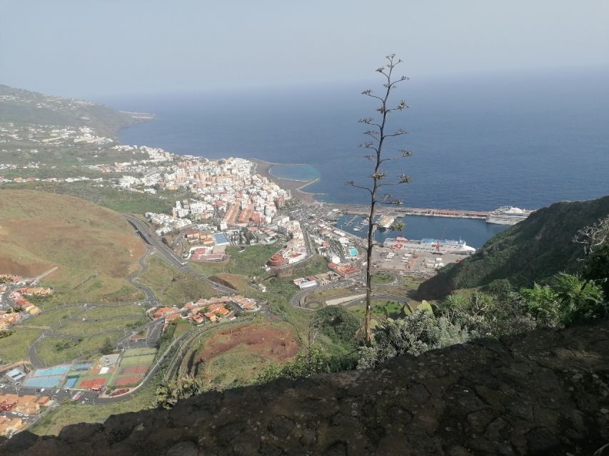 La Palma: Island Highlights Guided Bus Tour - Why This Tour Works Well