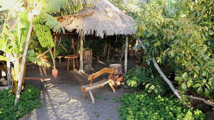 La Palma: PlatanoLógico Edible Forest Tour - Tour Logistics and Practical Tips