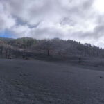 La Palma: Tajogaite Volcano Guided Hike ( ES-ED ) - Who Should Book This Tour?