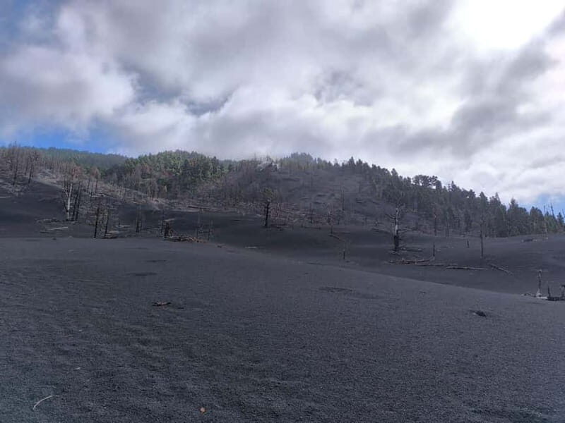 La Palma: Tajogaite Volcano Guided Hike ( ES-ED ) - Who Should Book This Tour?