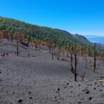 La Palma: Tajogaite Volcano Guided Trek - The Experience: An In-Depth Look at the Tour