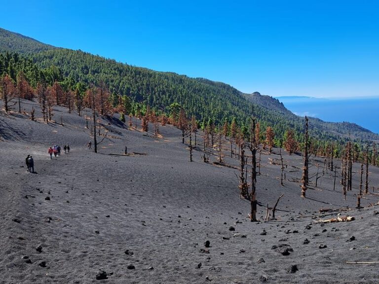 La Palma: Tajogaite Volcano Guided Trek - The Experience: An In-Depth Look at the Tour