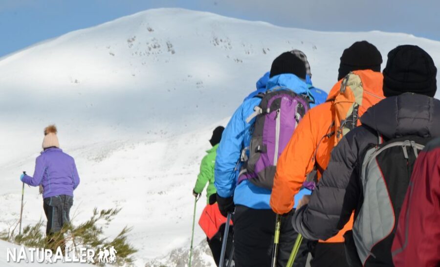 La Raya: Fuentes de Invierno Snowshoe Walk - Breaking Down the Itinerary and What to Expect
