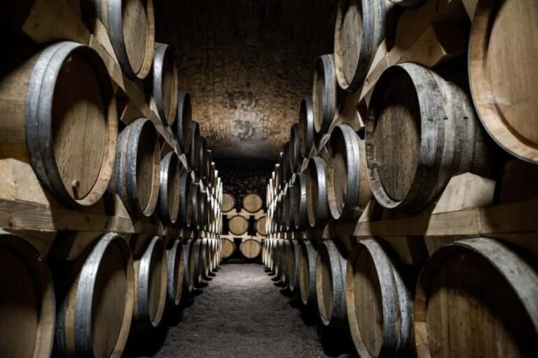 La Roche Vineuse: Tour of the Vine and Wine Museum - Practical Details to Consider