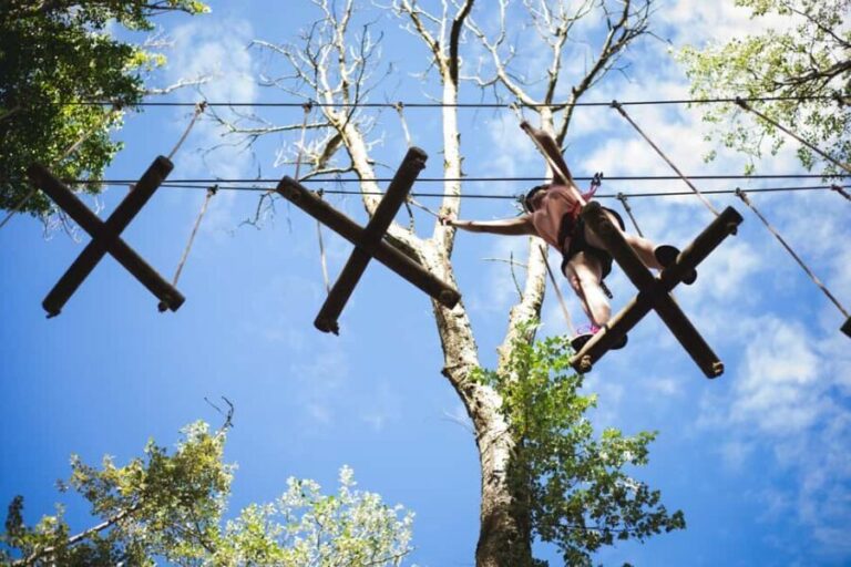 La Tremblade: Oasalis Parcour Adventure Park - The Sum Up