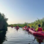Lago di Massaciuccoli: tour in kayak con Aperitivo - A closer look at the experience