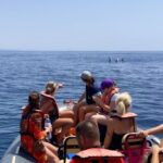 Lagoa: Dolphin Watching & Benagil Tour with Biologist Guide - Who Is This Tour Best For?