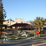 Lagoa: Guided Winery Tour and Local Wine Tasting - The Experience of Tasting and Viewing