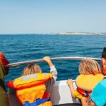 Lagos: Dolphin Watch Tour with Professional Marine Biologist - The Itinerary in Detail