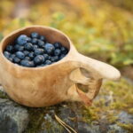 Lahti: Wild Food Foraging Tour with Tastings - An In-Depth Look at the Foraging Tour