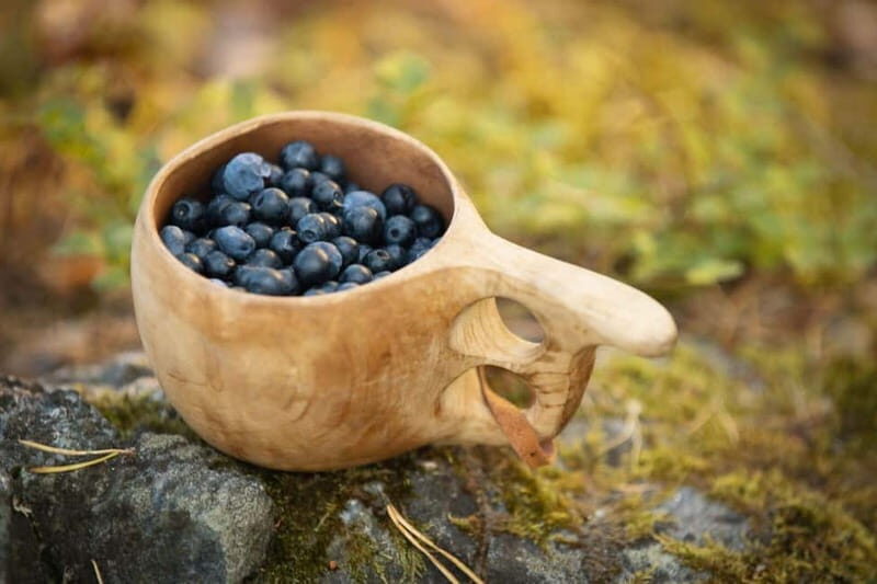 Lahti: Wild Food Foraging Tour with Tastings - An In-Depth Look at the Foraging Tour
