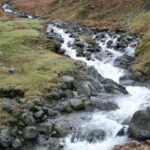 Lake District: Half-Day 8 Lakes Tour - What Makes This Tour Stand Out?