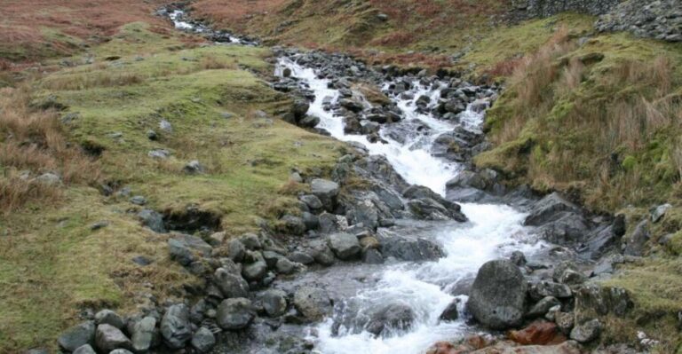 Lake District: Half-Day 8 Lakes Tour - What Makes This Tour Stand Out?