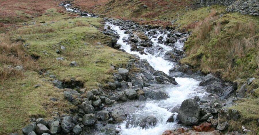 Lake District: Half-Day 8 Lakes Tour - What Makes This Tour Stand Out?