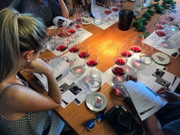 Lake Garda: Wine Tour and Tasting Experience in Bardolino - A Detailed Look at the Tour Experience