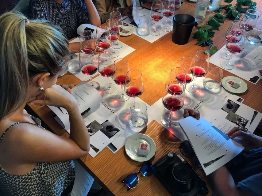 Lake Garda: Wine Tour and Tasting Experience in Bardolino - A Detailed Look at the Tour Experience