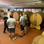 Lake Garda: Winery Visit with Wine and Olive Oil Tasting - Final Thoughts