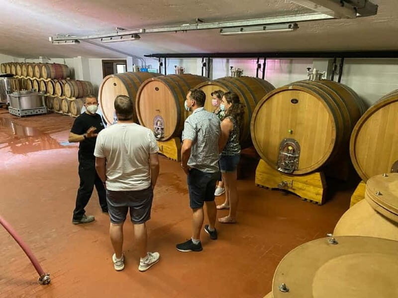 Lake Garda: Winery Visit with Wine and Olive Oil Tasting - Final Thoughts