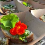 Lake Nemi: Herbs of the Moon Sensory Farm Visit - Why This Experience Is Worth It